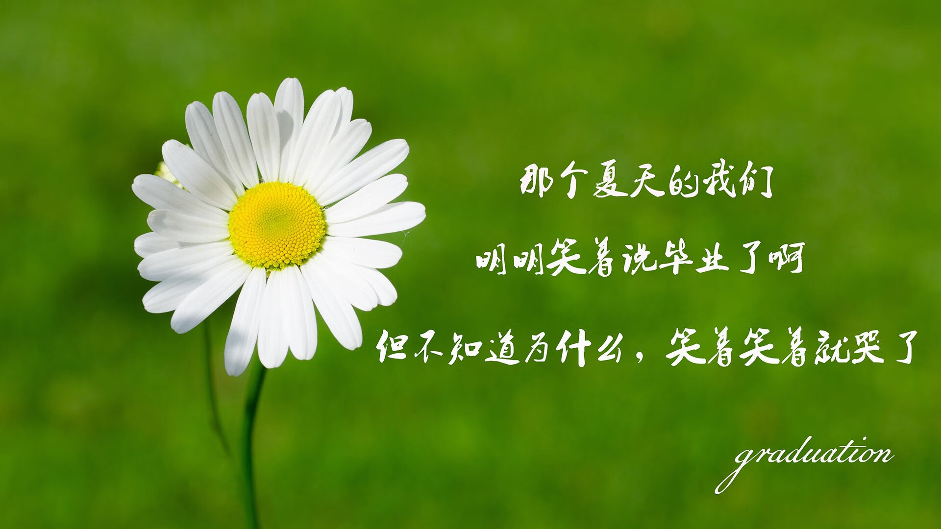世界自行车公路赛环广西精彩开赛，还广西自行车赛