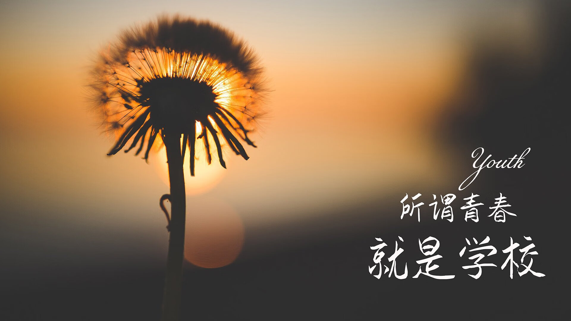 体育赛事创新发展策略探讨，体育赛事运作的主要研究方向包括