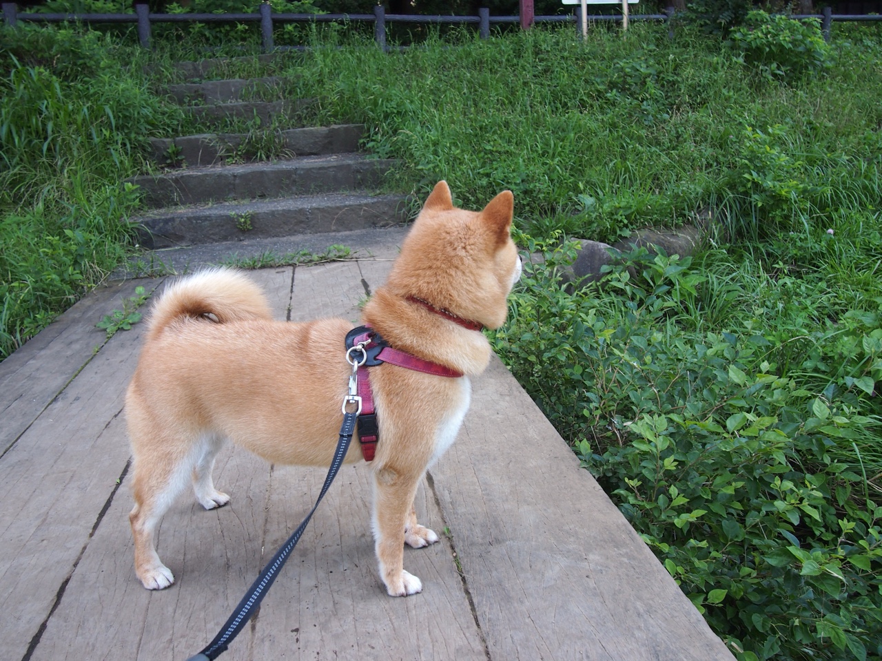 爱游戏娱乐平台-中超新赛季赛程正式出炉，中超新赛季赛制