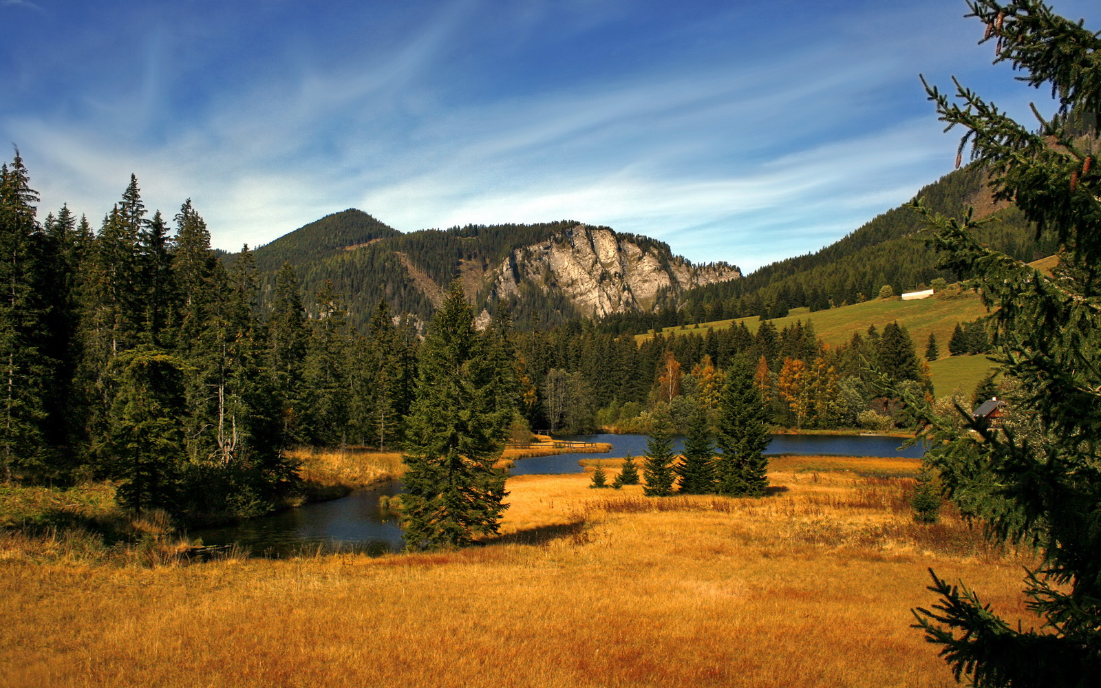 塞尔·拉恩：以无与伦比的速度突破对方防线，他在全黑队进攻中占据重要位置