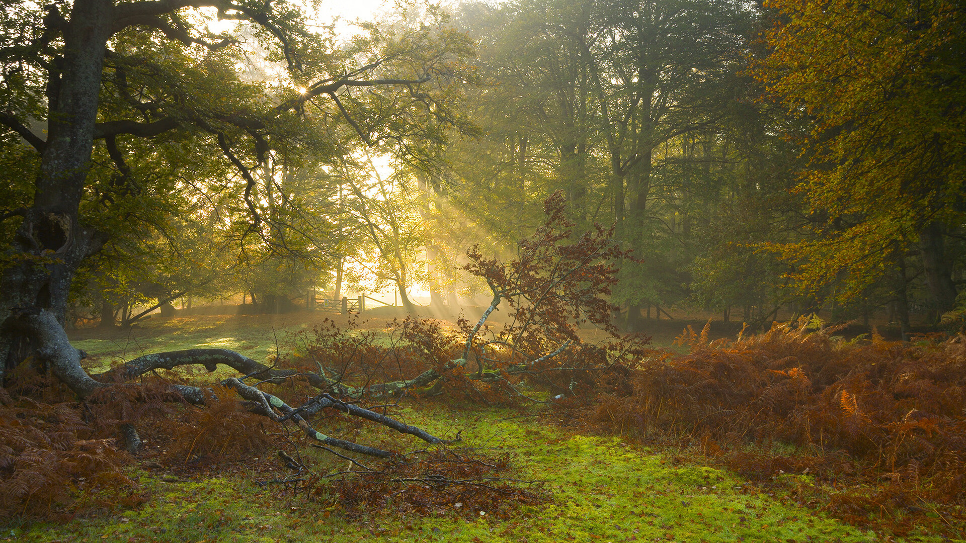 奇才加强对抗减少轻易得分改善比赛节奏,奇才打强队