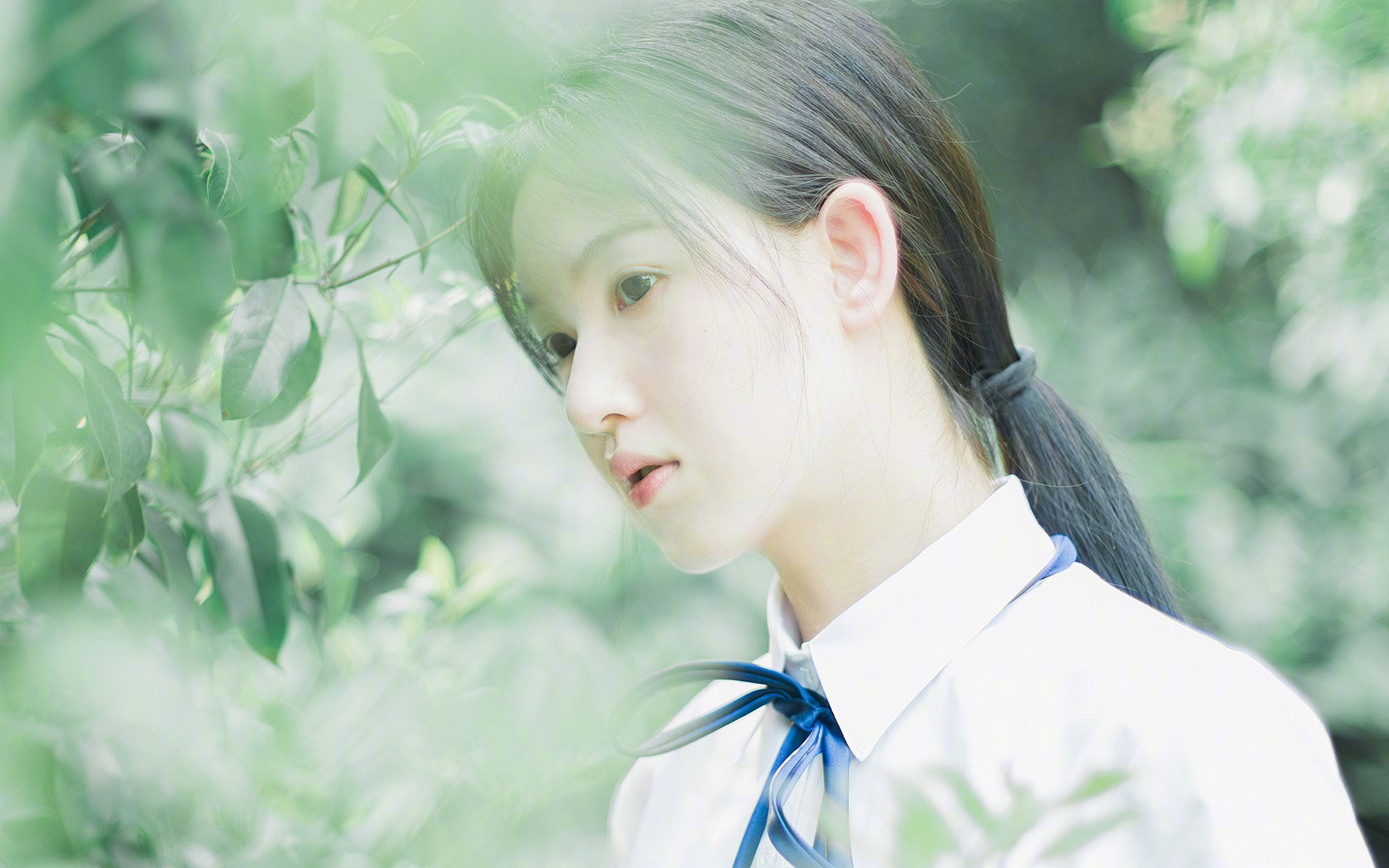 爱游戏娱乐平台-帕金斯蝶泳冲刺阶段全力一搏，帕金斯集锦