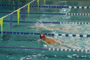 爱游戏电竞-张雨霏自由泳赛段发力迅速，张雨霏自由泳实力