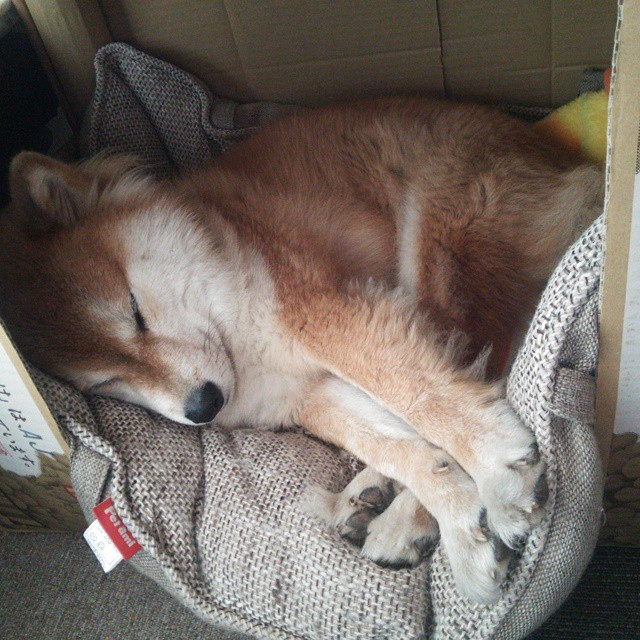 战术视频课全面覆盖每一细节帮助球员建立立体战术理解框架，球队战术