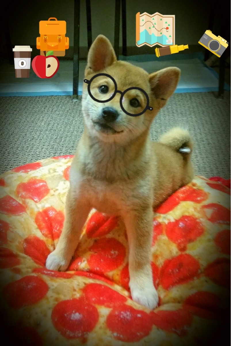 爱游戏app-美洲杯星光耀眼：明星战士点燃赛场！，美洲杯赛程2021颁奖