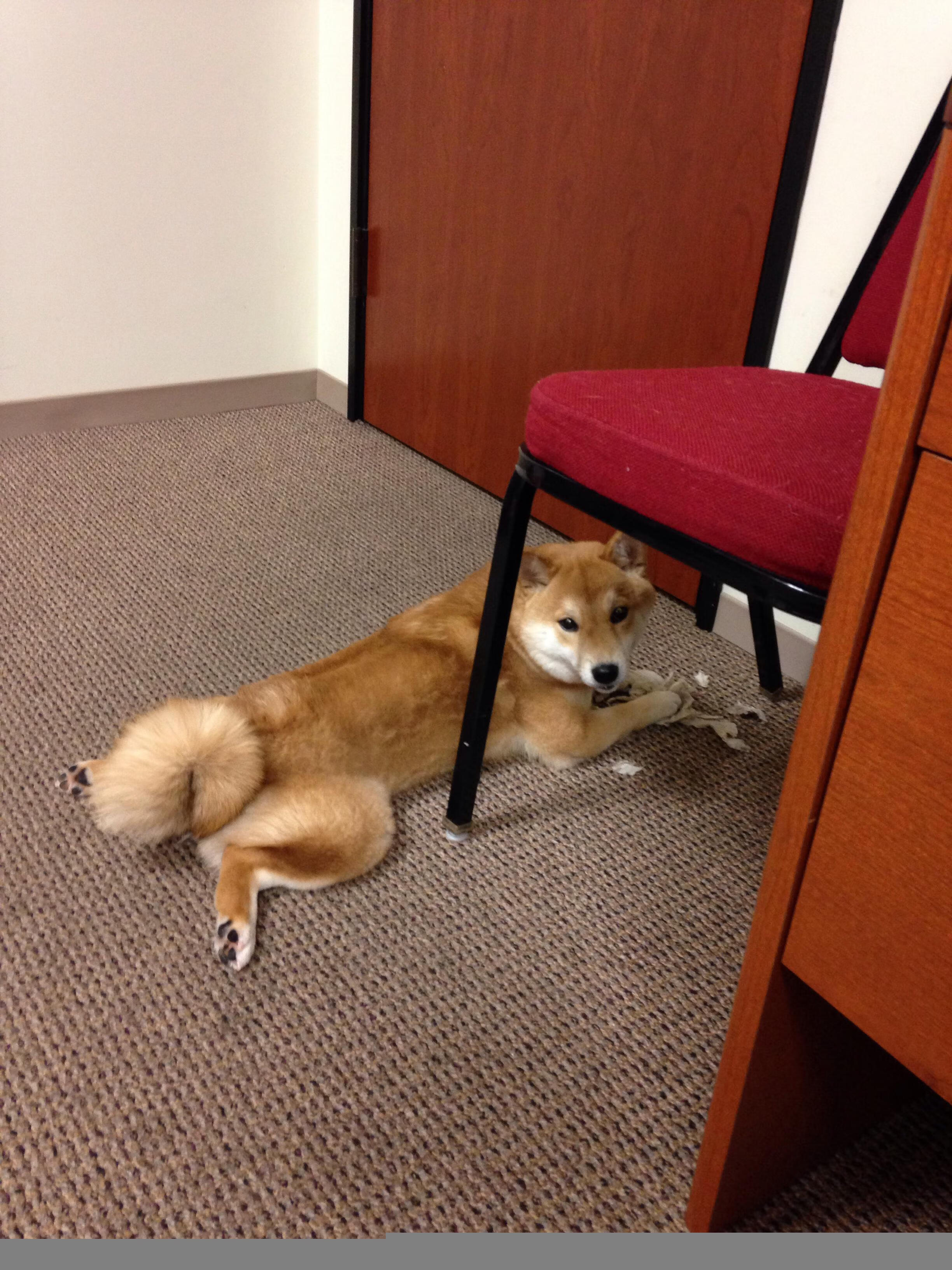 爱游戏平台-美洲杯逆转传奇：英雄升华时刻！，美洲杯专题