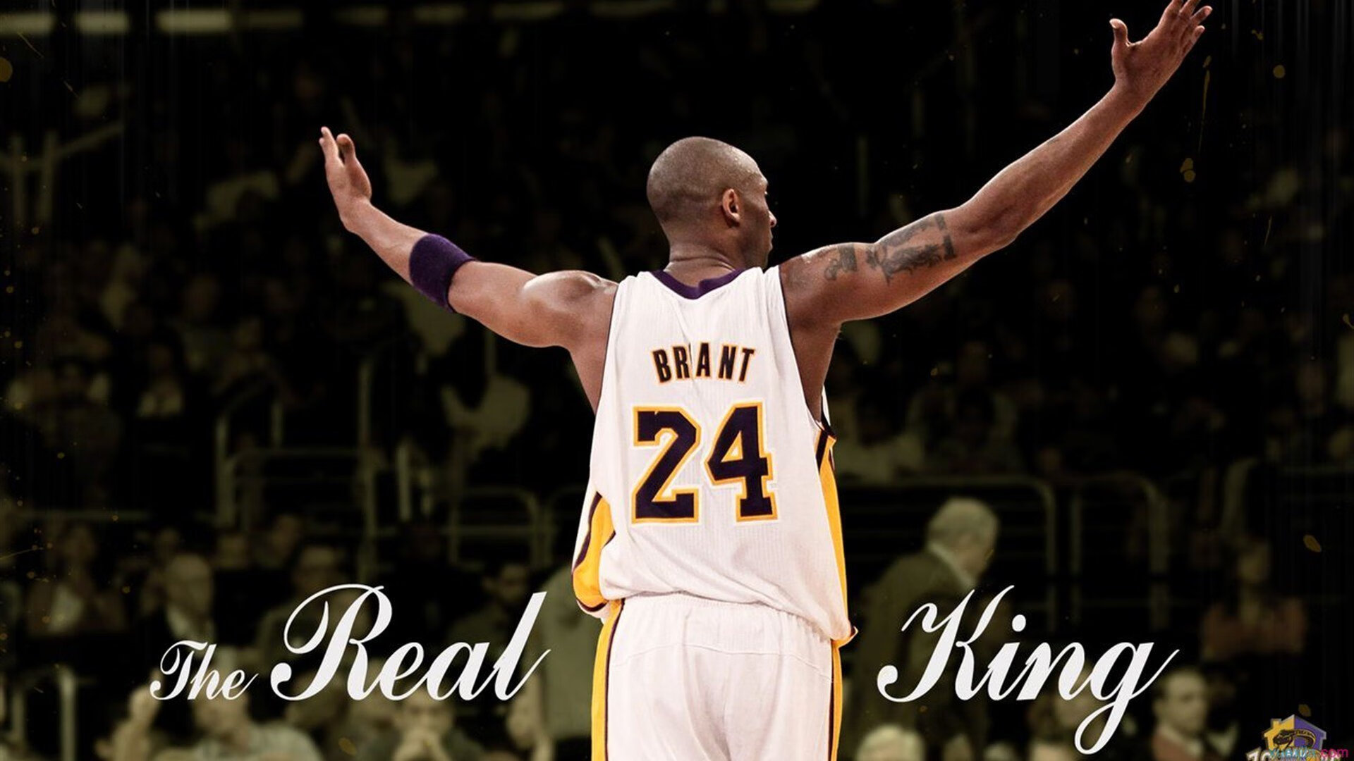 《电竞文化节：展现多元价值观的创新平台》，电竞文化衫