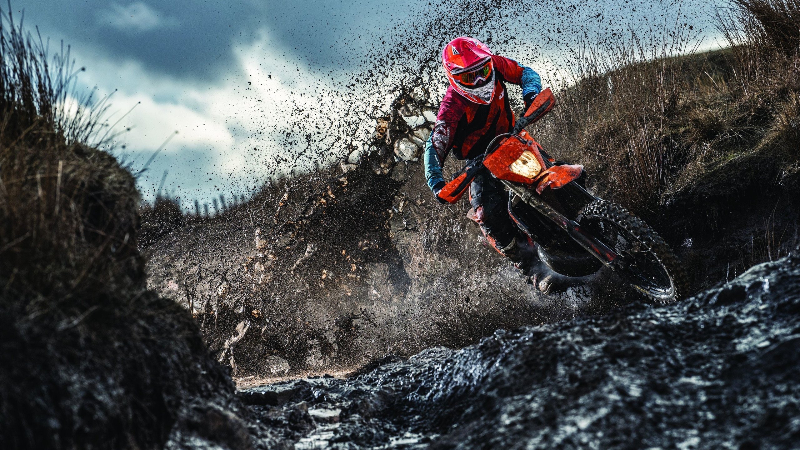 摩洛哥骑手阿米尔·本·哈桑在2024年巴黎奥运会三项赛中获得第20名，展现出色表现。